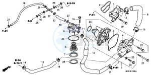 VFR1200FB drawing WATER PUMP