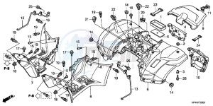 TRX420FMC drawing REAR FENDER