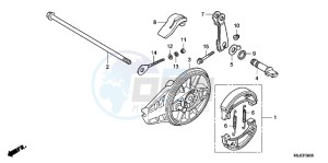 CRF100FB drawing REAR BRAKE PANEL