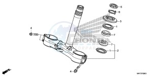 CBR1000RAH 2ED - (2ED) drawing STEERING STEM