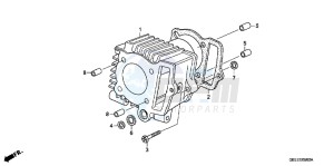 CRF50FB CRF50F ED drawing CYLINDER