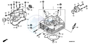 TRX250XC drawing CYLINDER HEAD