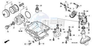 CB600FA Europe Direct - (ED) drawing OIL PAN/OIL PUMP