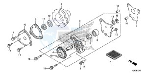 CRF125FE CRF125F Europe Direct - (ED) drawing OIL PUMP