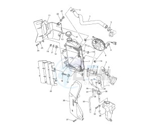 WR R 250 drawing RADIATOR AND HOSE