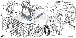 TRX500FM6H Europe Direct - (ED) drawing RADIATOR