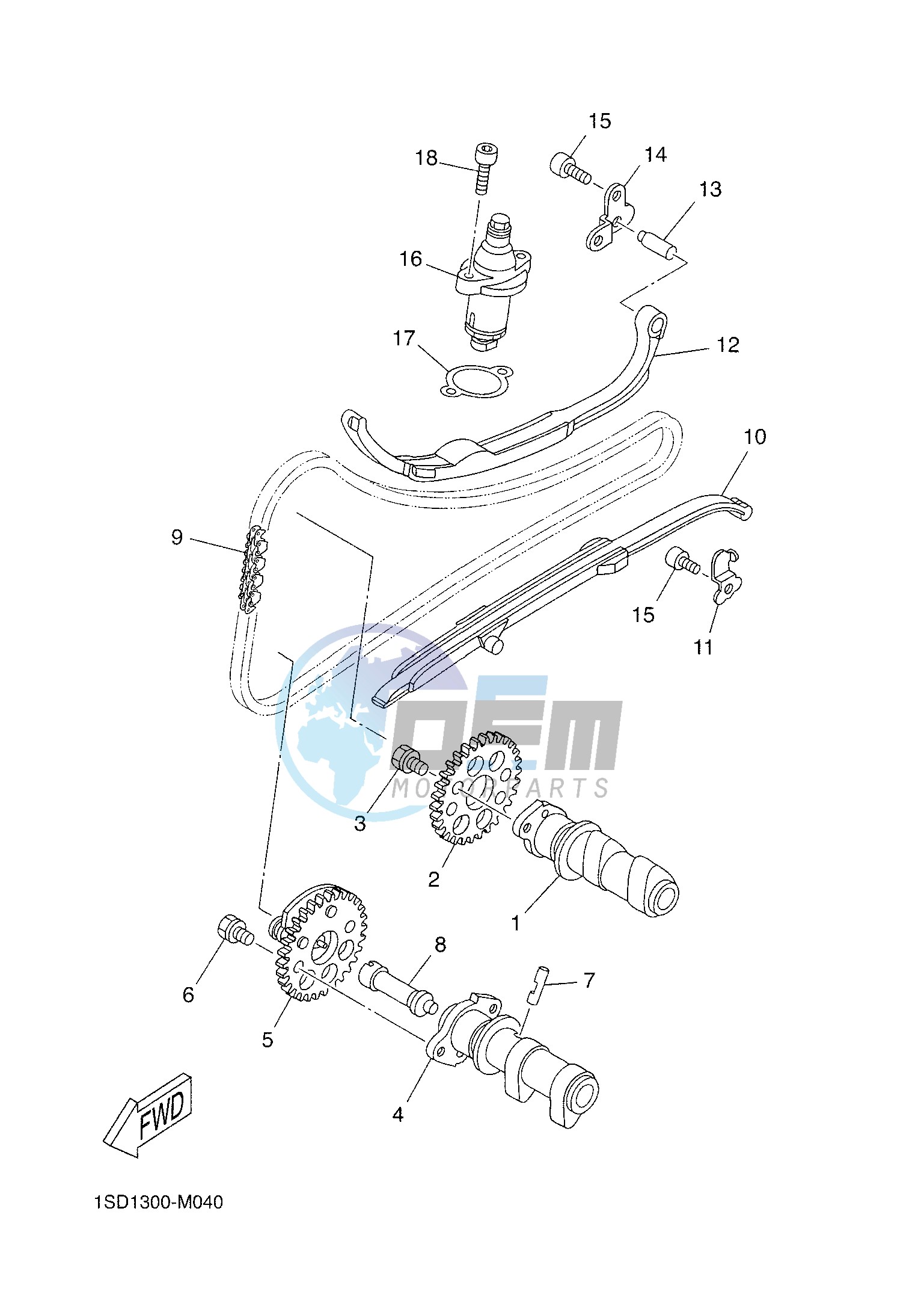 CAMSHAFT & CHAIN