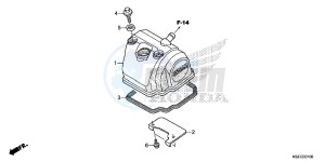 CRF150RD CRF150R Europe Direct - (ED) drawing CYLINDER HEAD COVER