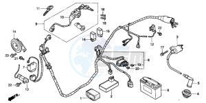 SFX50MM drawing WIRE HARNESS/ IGNITION COIL/BATTERY