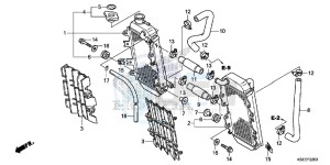 CRF150RBD CRF150RB Europe Direct - (ED) drawing RADIATOR