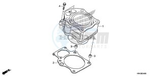 TRX500FE1F TRX500F Europe Direct - (ED) drawing CYLINDER