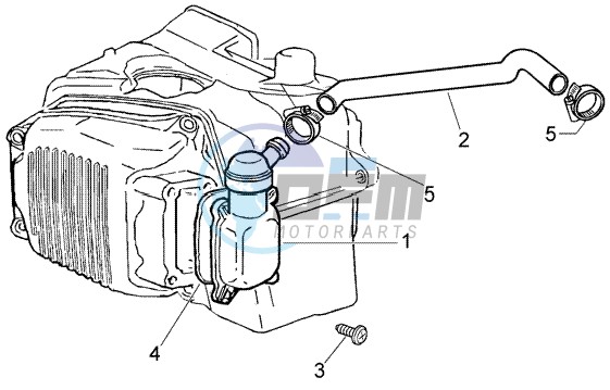 Oil drain valve