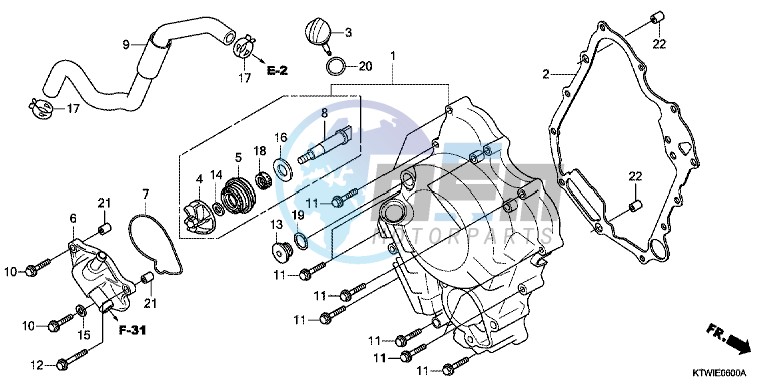 RIGHT CRANKCASE COVER/WATER PUMP