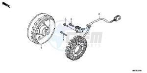 TRX500FED TRX500FE Europe Direct - (ED) drawing GENERATOR