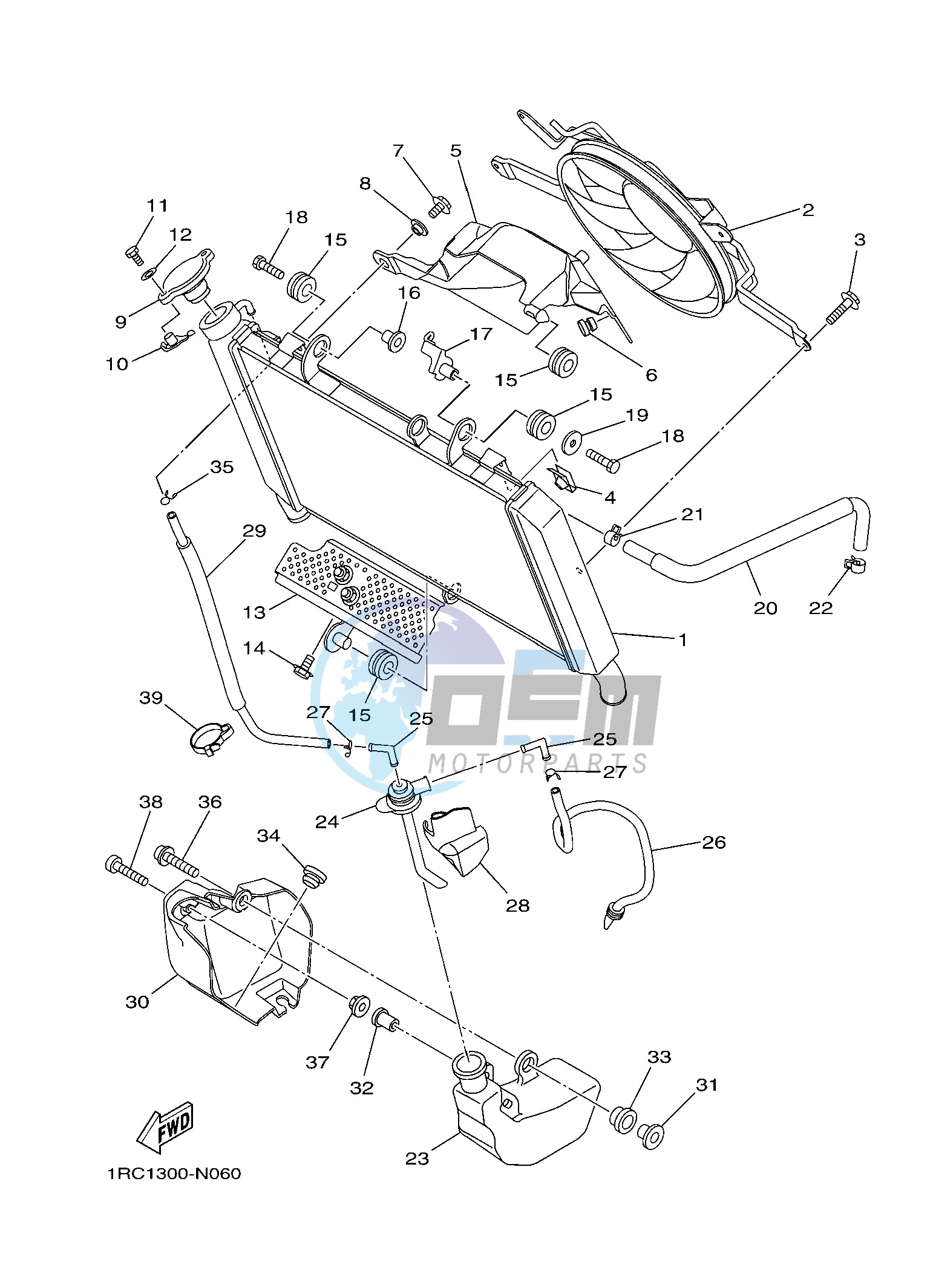 RADIATOR & HOSE