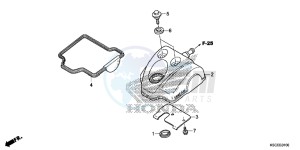 CRF250XD CRF250R Europe Direct - (ED) drawing CYLINDER HEAD COVER