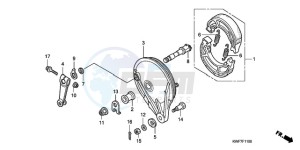 CBF125MA UK - (E) drawing REAR BRAKE PANEL