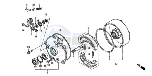 TRX250 RECON drawing REAR BRAKE DRUM