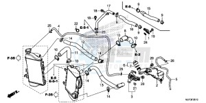 CRF1000G CRF1000 - Africa Twin Europe Direct - (ED) drawing RADIATOR HOSE