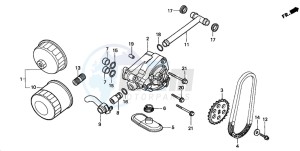 VT750DC SHADOW drawing OIL FILTER/OIL PUMP