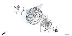 TRX250TEH Europe Direct - (ED) drawing REAR WHEEL