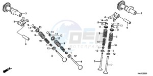 CBR250RB drawing CAMSHAFT/ VALVE