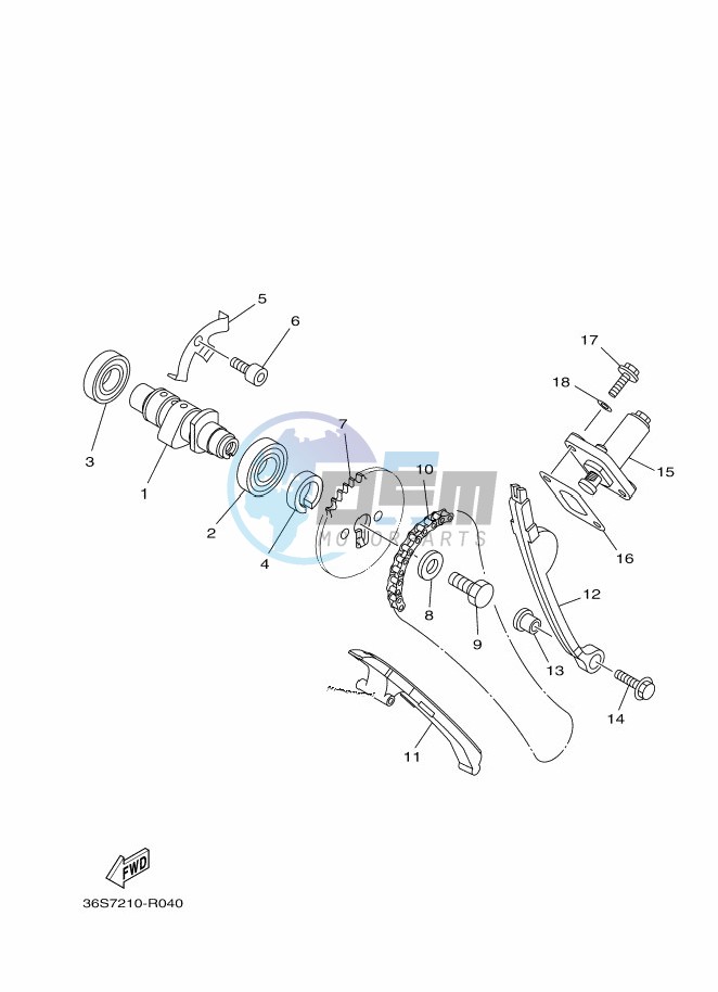 CAMSHAFT & CHAIN