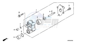 TRX500FPEA U / EC PS drawing OIL PUMP