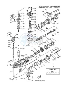 LZ250DETOX drawing LOWER-CASING-x-DRIVE-3