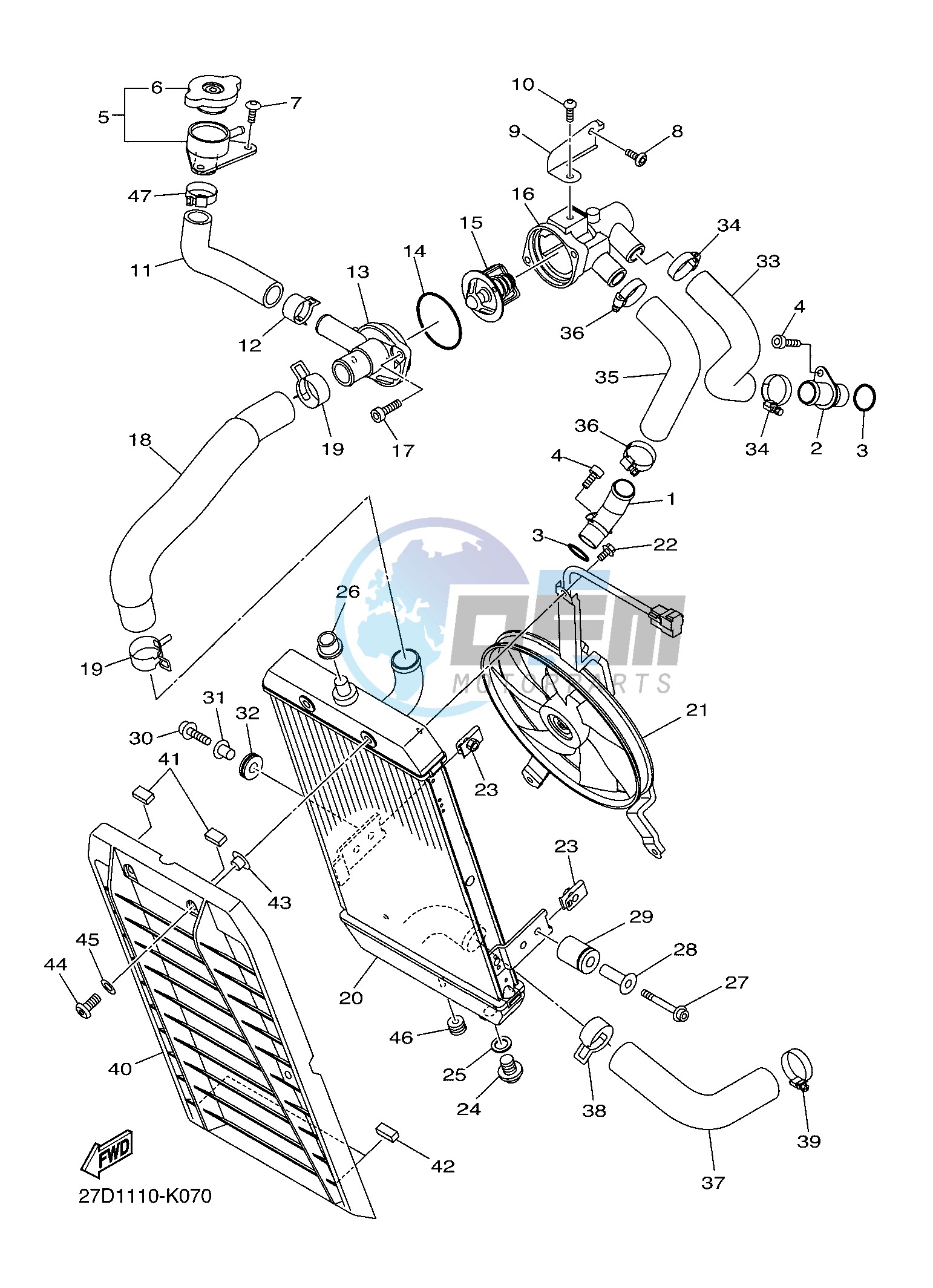 RADIATOR & HOSE