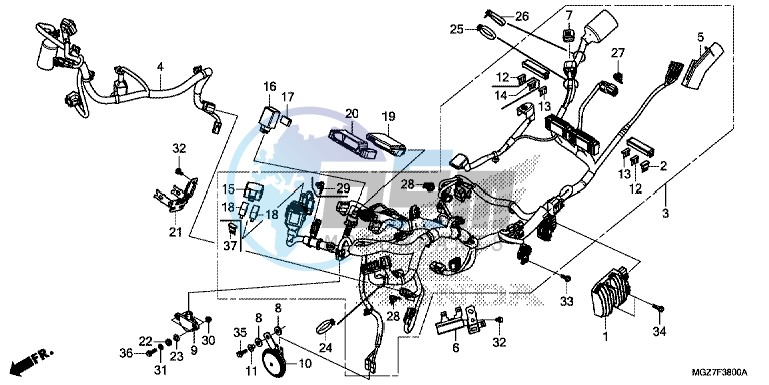 WIRE HARNESS