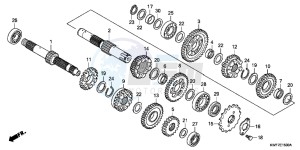 CBF125MB drawing TRANSMISSION