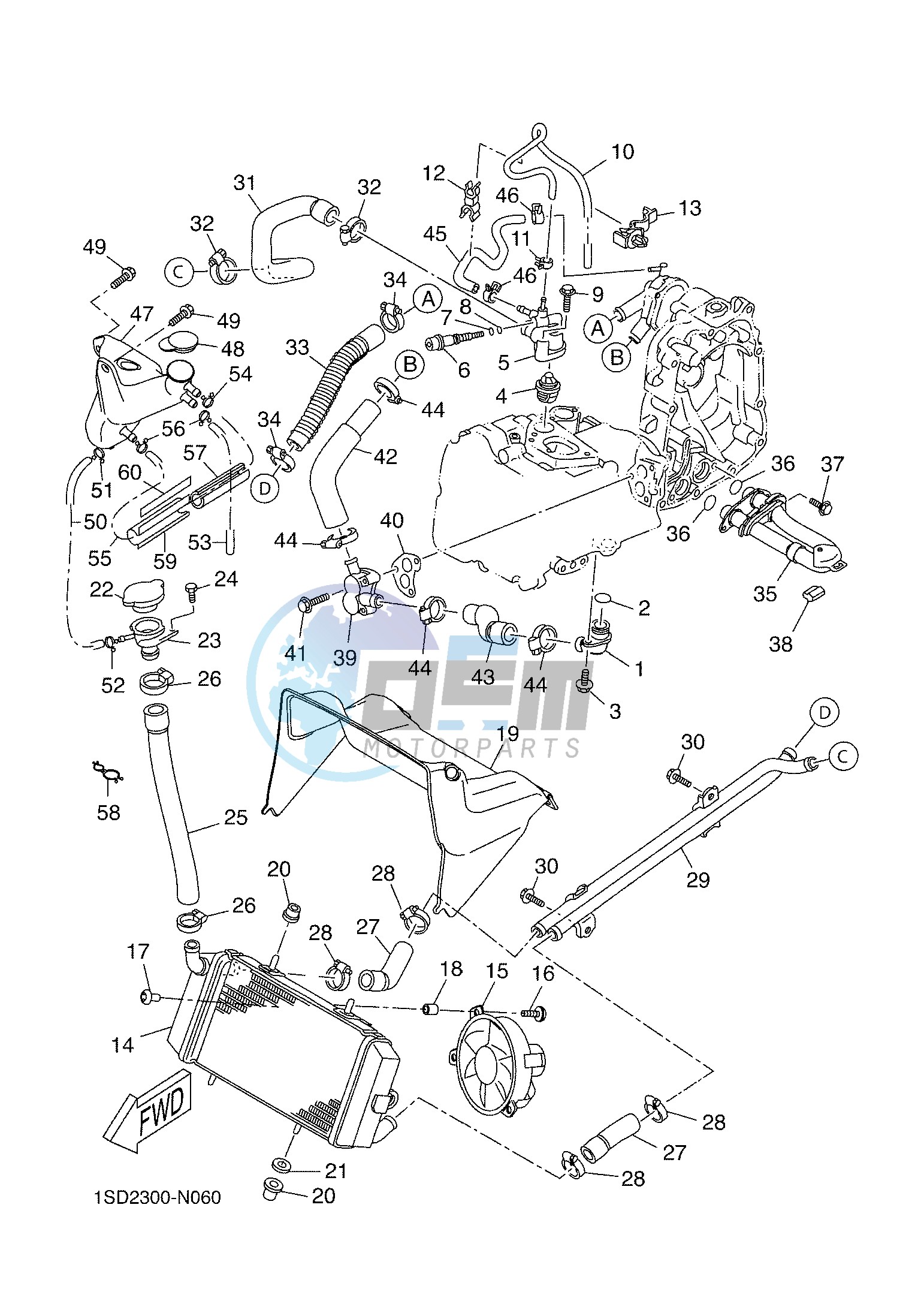 RADIATOR & HOSE