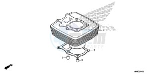 TRX250TEE FOURTRAX RECON ES Europe Direct - (ED) drawing CYLINDER