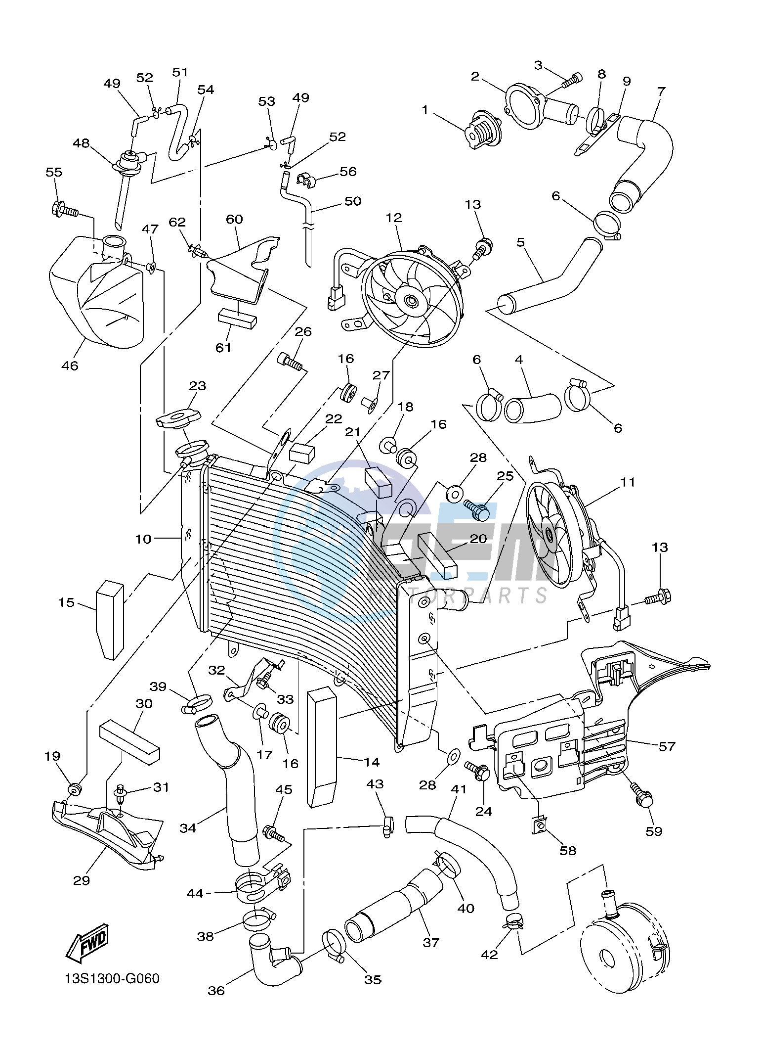 RADIATOR & HOSE