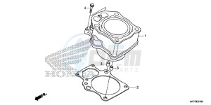 TRX420FA6G TRX420 Europe Direct - (ED) drawing CYLINDER