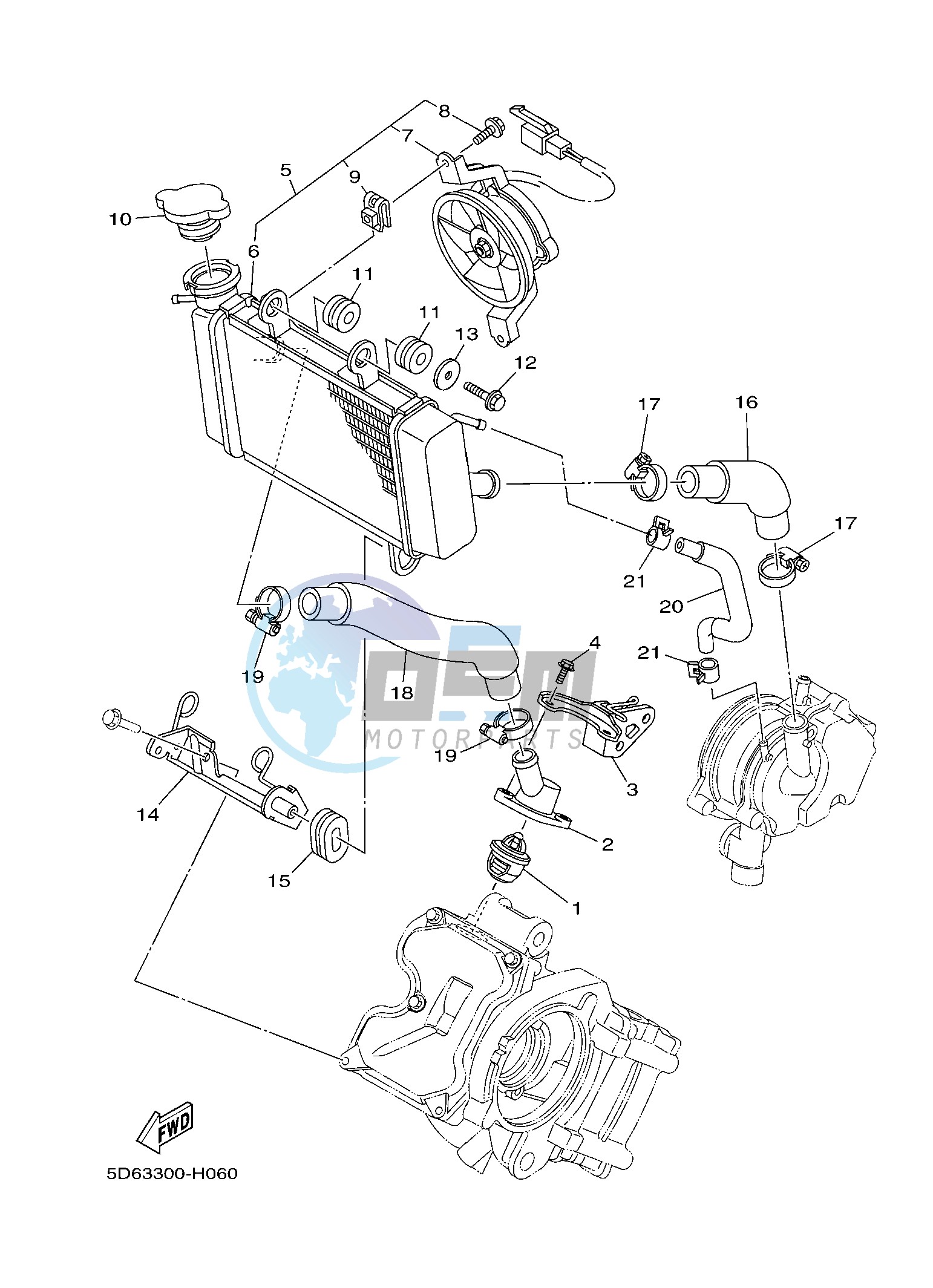 RADIATOR & HOSE