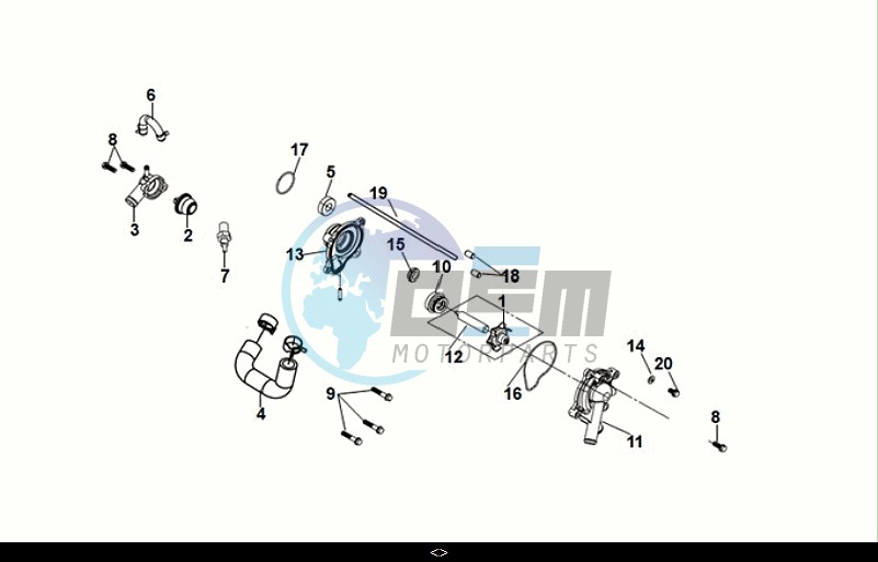 WATER PUMP - THERMOSTAT