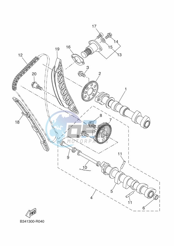 CAMSHAFT & CHAIN