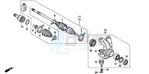 TRX300 FOURTRAX 300 drawing KNUCKLE (4WD)