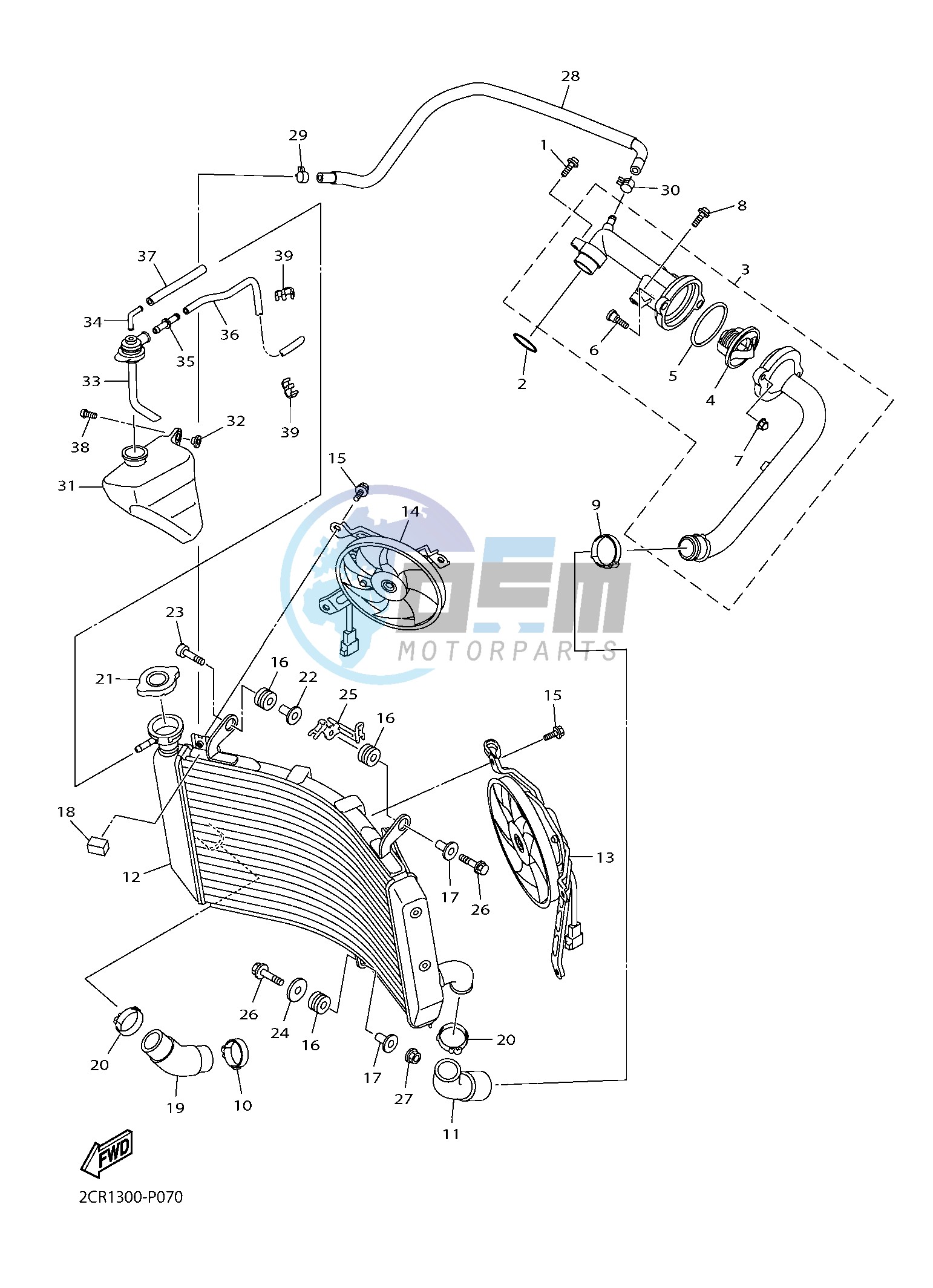 RADIATOR & HOSE