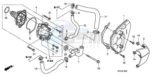 CB600FAA France - (F / ABS CMF) drawing WATER PUMP