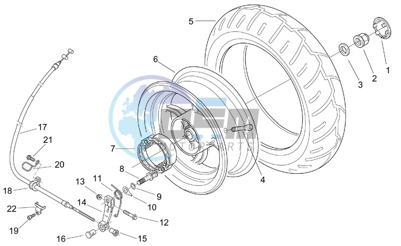 Rear wheel - drum brake