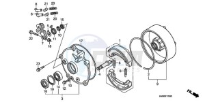 TRX250TEA Europe Direct - (ED / EC) drawing REAR BRAKE DRUM