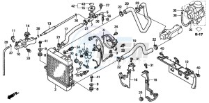 NSS250 JAZZ drawing RADIATOR