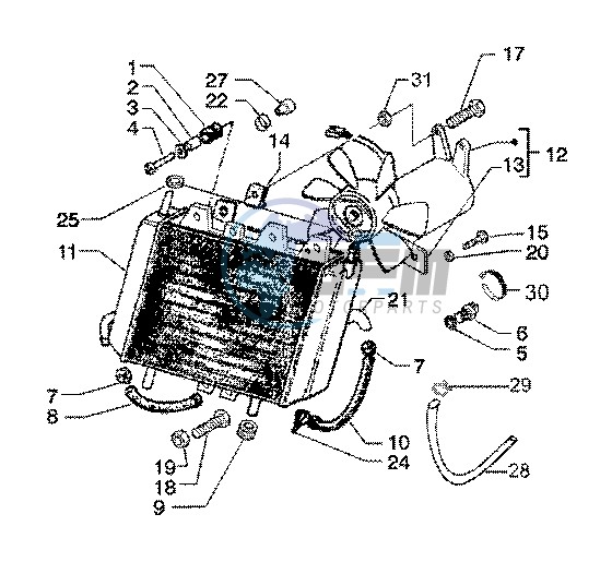 Radiator coolant