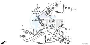 VT750CA9 Europe Direct - (ED / MK) drawing EXHAUST MUFFLER