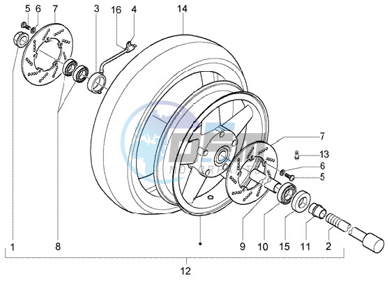 Front wheel