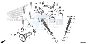 TRX500FE1F TRX500F Europe Direct - (ED) drawing CAMSHAFT/VALVE