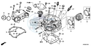 TRX500FM6G TRX680 Europe Direct - (ED) drawing CYLINDER HEAD